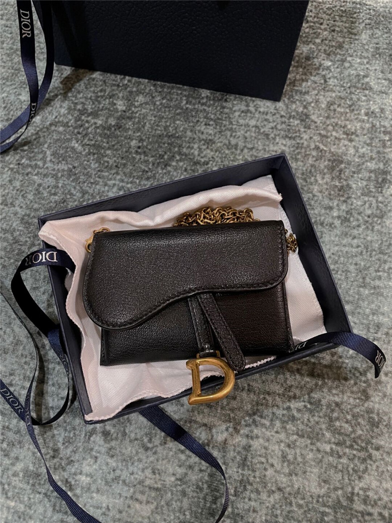 Dior Saddle Pouch 一物三钱包