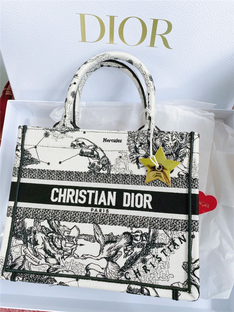 Dior tote新款小号 星座系列