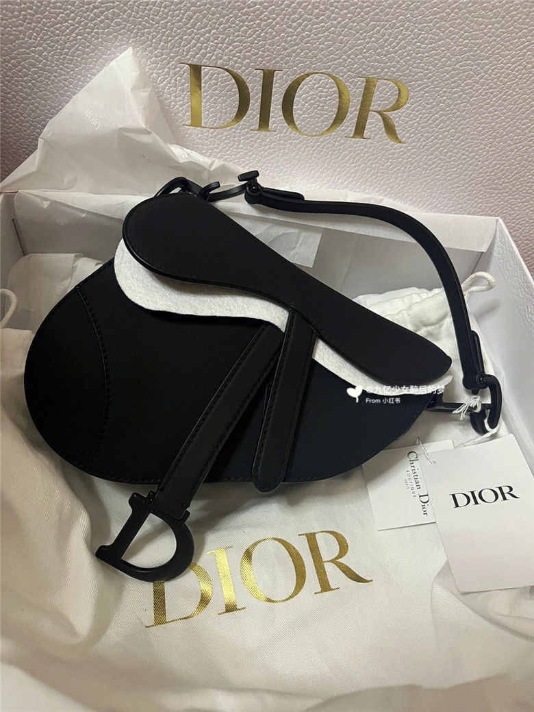 Dior 磨砂马鞍包小号