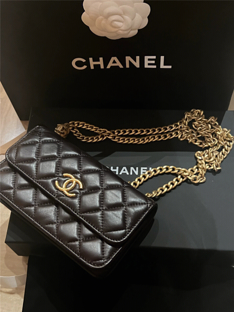 CHANEL｜22k我最喜欢的腋下包