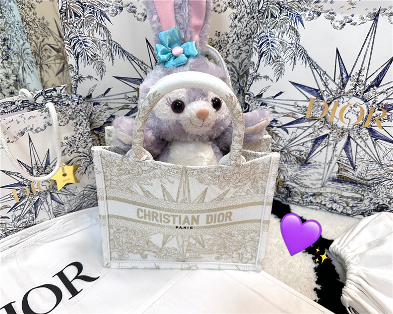 Dior23c购物分享🛍️